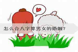 怎么合八字算婚姻免费(怎么合八字算婚姻)