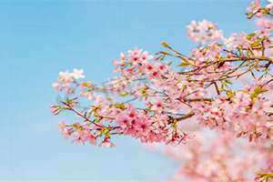 春暖花开形容春天的词语 春暖花开形容的几月份