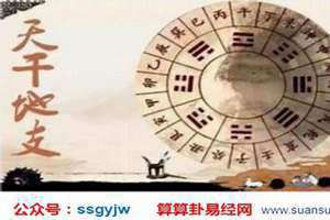 日支午火代表什么 地支午火代表什么