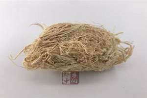 茹的意思是 茹姓