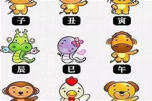南方的生肖正确答案 南方有哪几个生肖