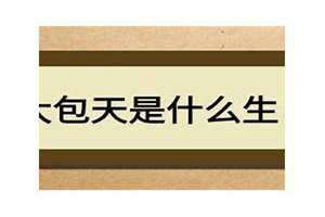 胆大包天是什么生肖准确的答案 吃雷公屙火闪胆大包天是什么生肖