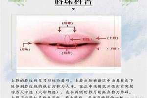 唇珠是什么样子图片 女性唇珠是什么