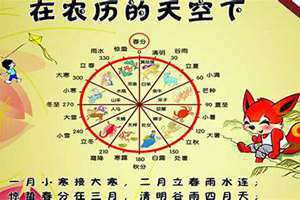 农历每个月多少天是固定的吗(农历每个月多少天)