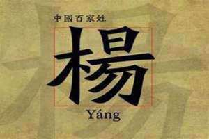 杨姓起源于哪里 杨姓起源和来历