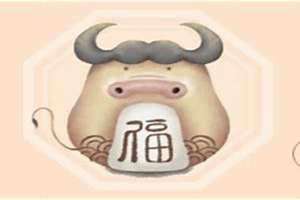 73年牛是什么命 五行属什么(73年牛是什么命)