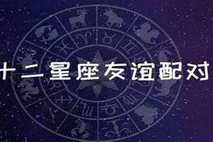 天蝎座最佳配对星座(配对星座)