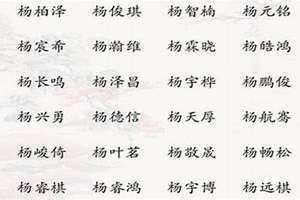 独一无二姓杨男孩名字(姓杨男孩名字)
