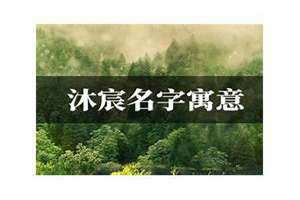 沐宸名字寓意吉利吗宸字一般人压不住吗 沐宸名字寓意女孩