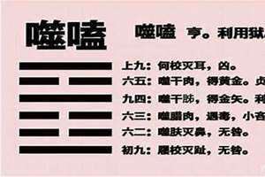 噬嗑卦详解事业(噬嗑卦详解)