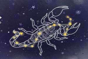 天蝎座今日运势第一星座网(天蝎座今日运势星座屋)