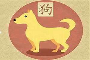 夫妻都属狗的生什么属相的宝宝好 2018属狗的宝宝取什么名字好