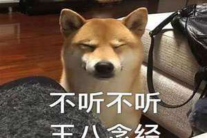女生说狗东西是什么意思 女生叫我狗东西是什么意思