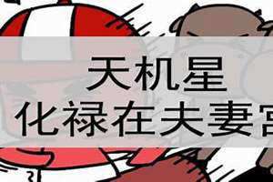 天机在夫妻宫是什么意思(天机在夫妻宫)