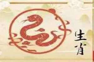 2024年属蛇人运势(属蛇人运势)