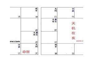 天机在命宫的女人 天机在命宫的男人