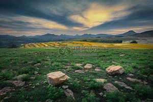 山坡地适合种植什么药材(山坡地)