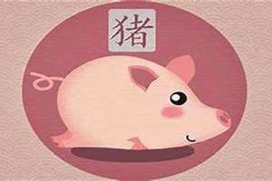 属猴的是哪年出生的人呢(属猪的是哪年出生的)