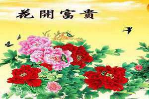 花开富贵下一句是什么 形容人花开富贵是什么意思