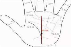 玉柱线手相图解女(玉柱线)