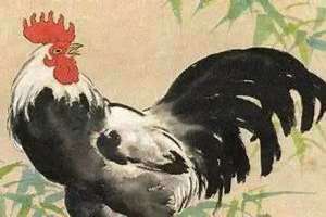 1957年属鸡的寿命多长今年什么星宿官事 1957年属鸡的寿命多长80岁没问题