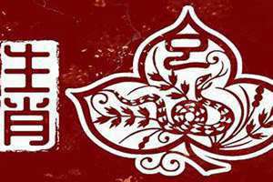 属蛇今年多大了岁数表(属蛇今年多大了)