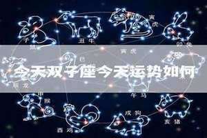双子座今天运势及财运(双子座今天运势)