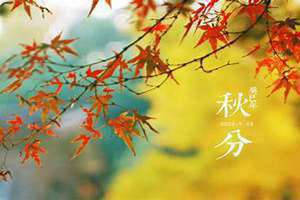 秋分早霜降迟什么种麦正当时(秋分早霜降迟)