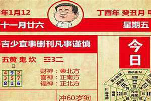十二生肖今日运势查询水墨先生(十二生肖今日运势)