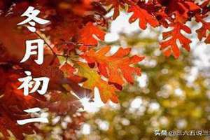 十一月初二是几月几号(十一月初二)