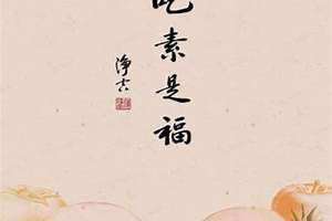 放生鲤鱼的功德和福报 放生泥鳅的功德和福报