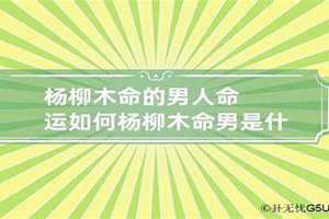 杨柳木命男孩适合什么工作(杨柳木命男)