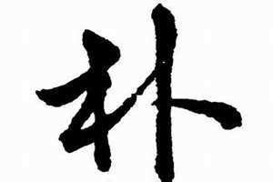朴姓的来源和历史 朴姓是读piao还是pu