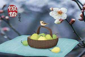 惊蛰吃什么食物最好(惊蛰吃什么)