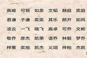 成语取名男孩名字(成语取名男孩)