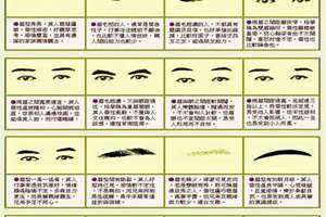 面相眉毛图解大全 男子(面相眉毛图解大全)