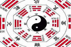 四象是什么动物(四象是什么)