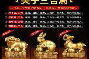 兔的三合生肖是哪几个生肖呢(兔的三合生肖)