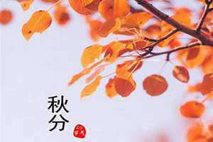 秋分节气的特点和风俗(秋分节气)
