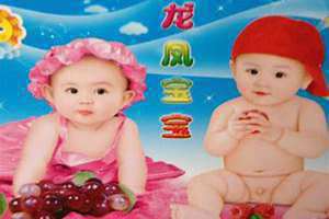 龙凤宝宝墙画 龙凤宝宝名字大全