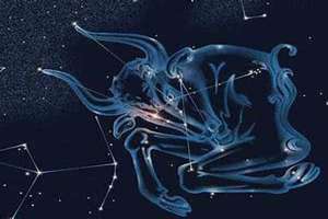 四月星座是什么星座(四月星座)