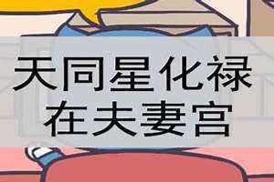 解神在夫妻宫是什么意思(解神在夫妻宫)