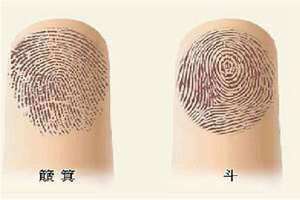 手指螺纹一到十意义 一螺穷 二螺富 手指螺纹图片