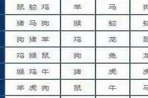 1980年属相是什么命 1980年属相查询表