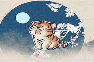 属虎的最忌讳哪个月出生男孩子 几点出生的老虎最好