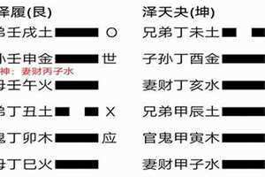 变爻怎么看(变爻)