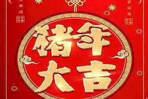 2019年什么年呢?(2019年什么年)