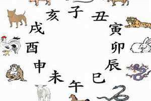 春肖是哪几肖生肖呢 春肖是哪几肖有几个