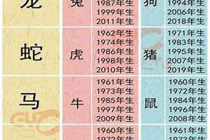 属牛的三合生肖是什么(属牛的三合)