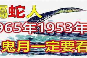 1953年生肖属什么生肖(1953年生肖)